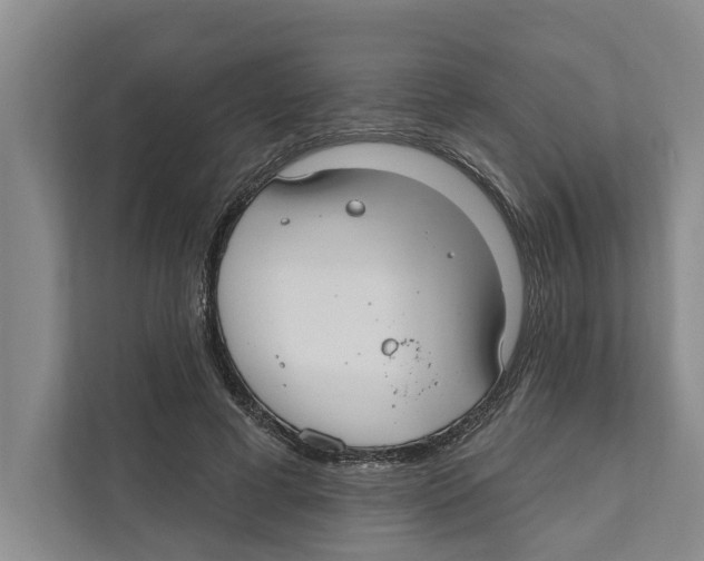 X0000111170593200907291125