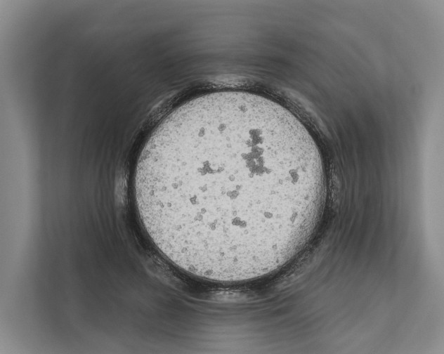 X0000111170596200907291125