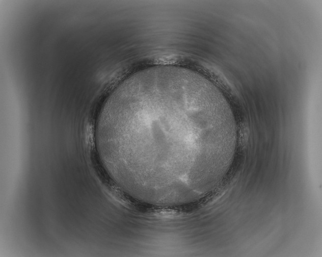 X0000111170598200907291125