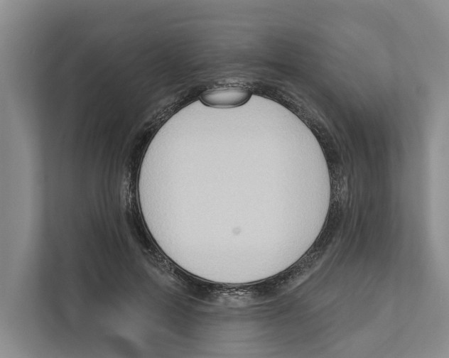 X0000111170599200907291125