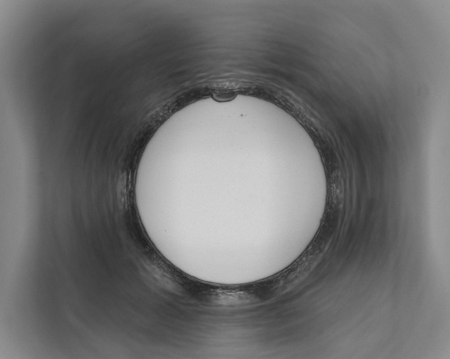 X0000111170605200907291125