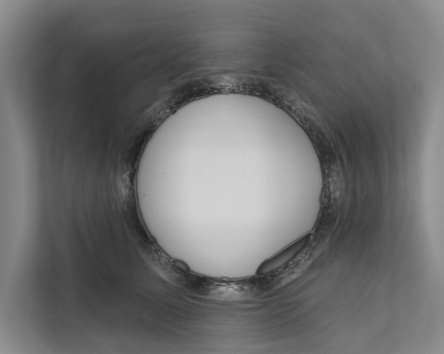 X0000111170611200907291124