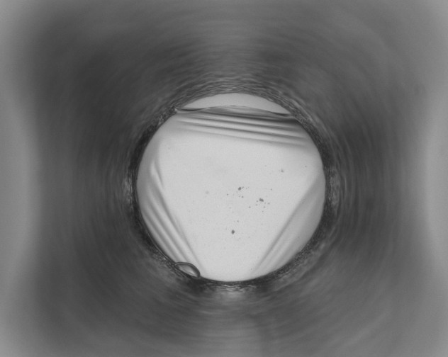 X0000111170613200907291124