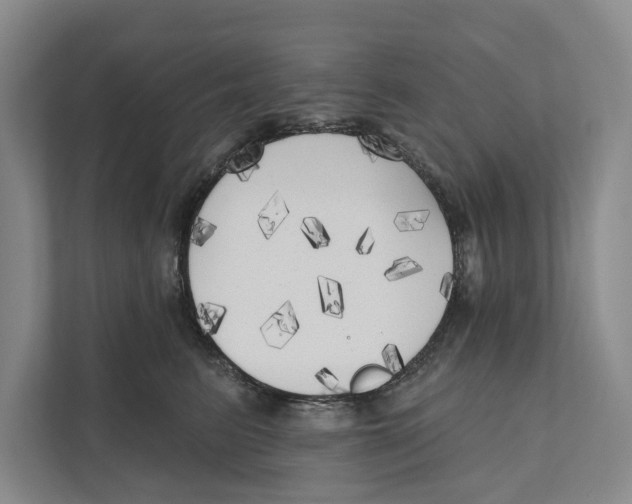 X0000111170615200907291124
