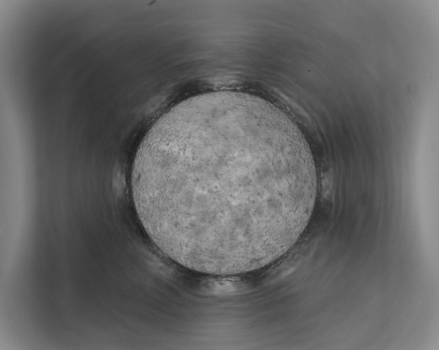 X0000111170618200907291124