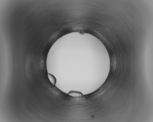 X0000111170619200907291124