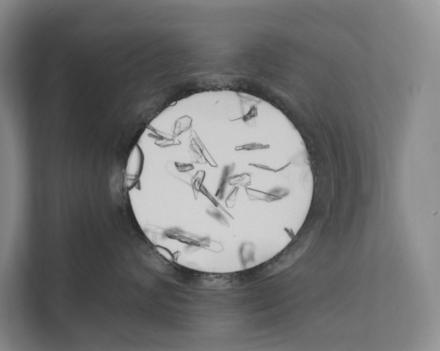 X0000111170624200907291124