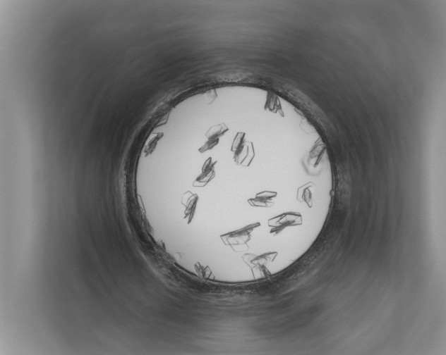 X0000111170626200907291124