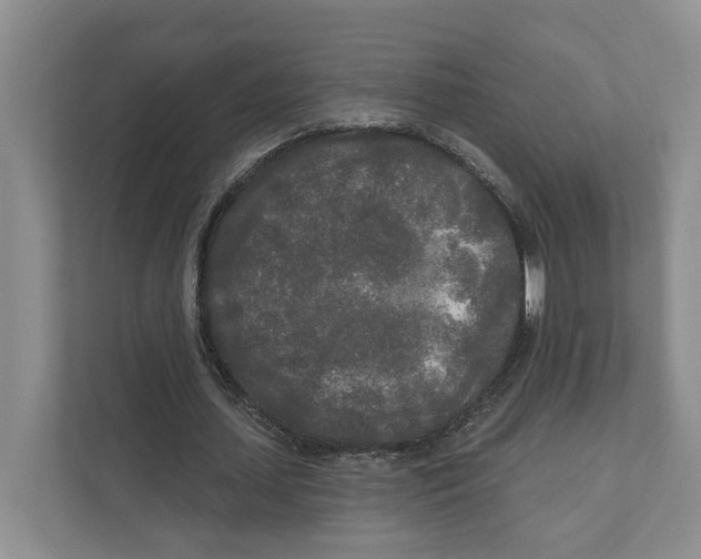 X0000111170627200907291124