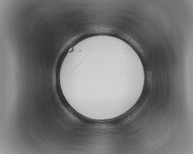 X0000111170629200907291124