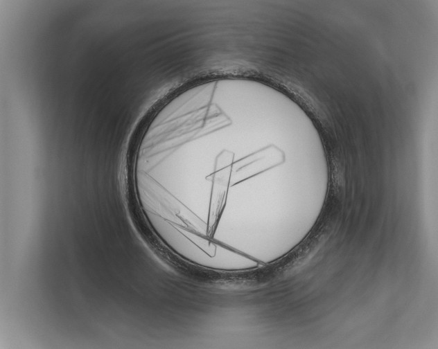 X0000111170630200907291124