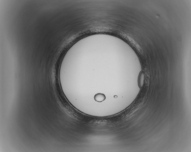 X0000111170631200907291124