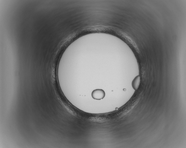 X0000111170633200907291124