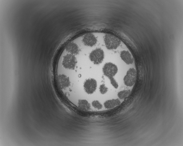 X0000111170634200907291124