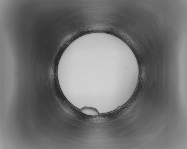 X0000111170636200907291124