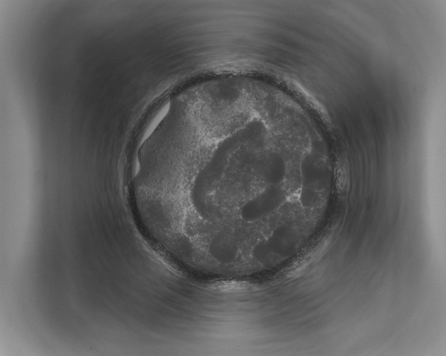 X0000111170637200907291124