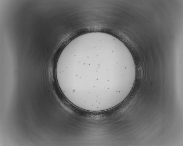X0000111170638200907291124