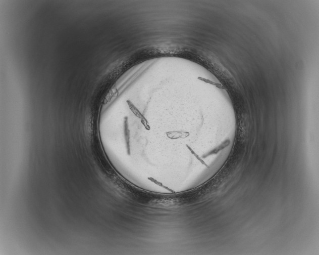 X0000111170639200907291124