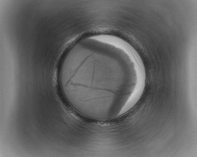 X0000111170640200907291124