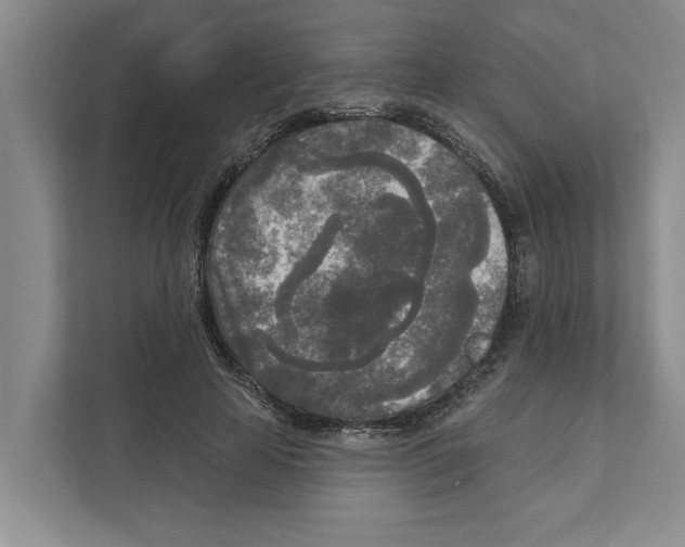 X0000111170641200907291124