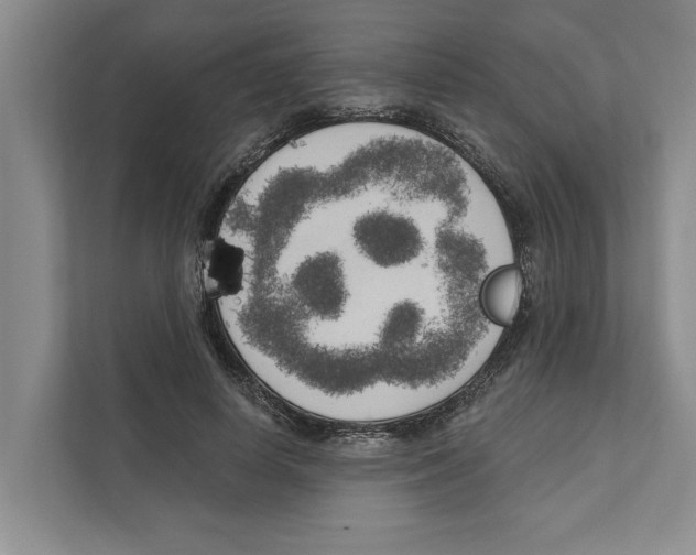 X0000111170642200907291124