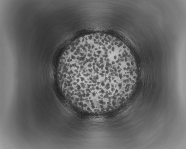 X0000111170643200907291124