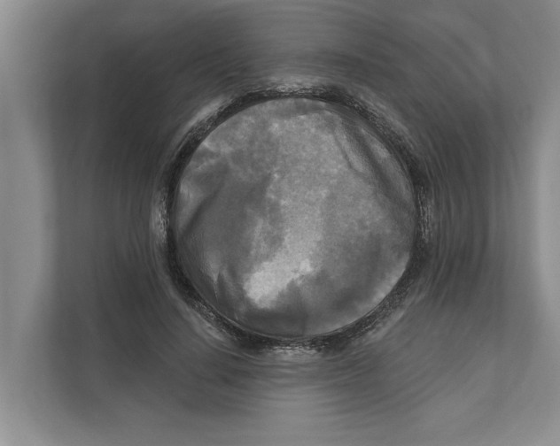 X0000111170644200907291124