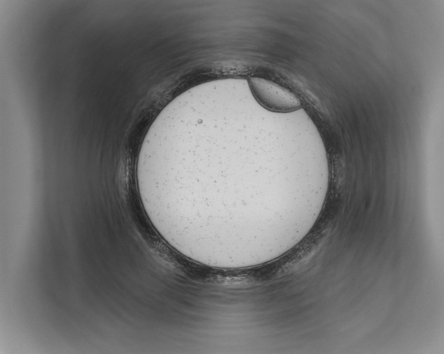 X0000111170645200907291124