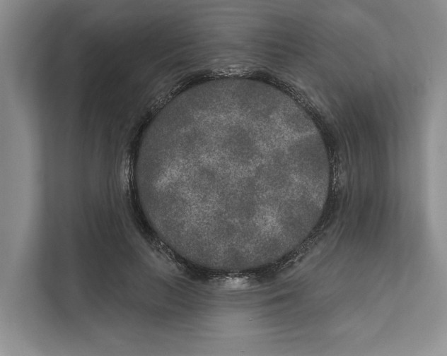 X0000111170647200907291124