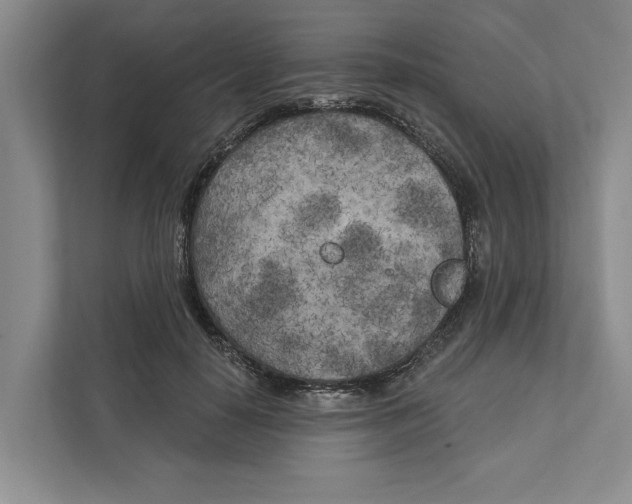 X0000111170650200907291124