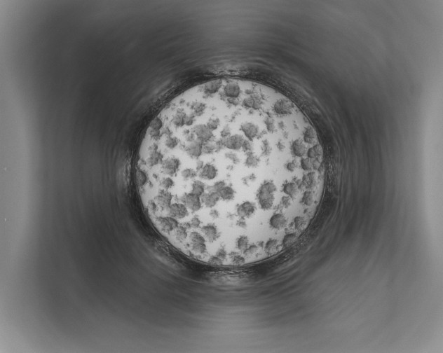 X0000111170652200907291124