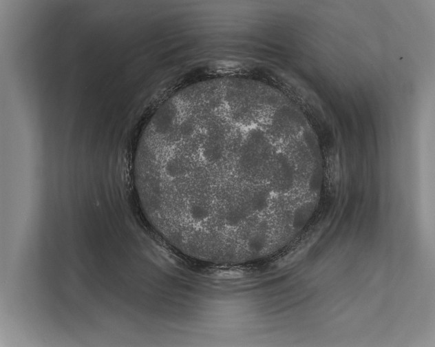 X0000111170653200907291124