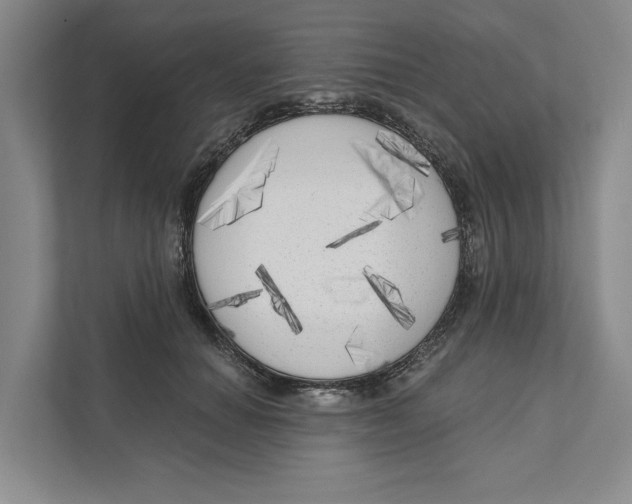 X0000111170654200907291124