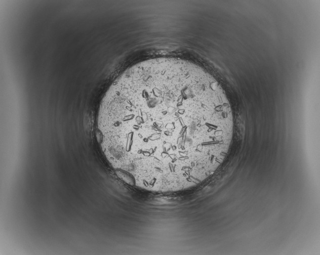 X0000111170657200907291124