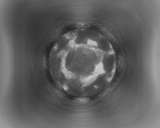 X0000111170659200907291124