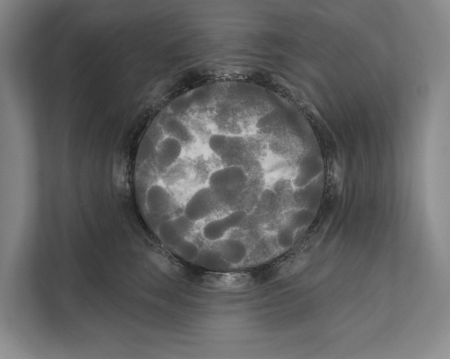 X0000111170663200907291124