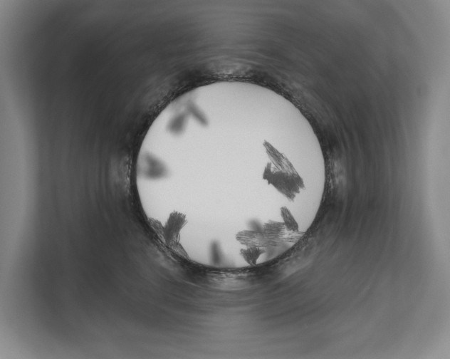 X0000111170664200907291124