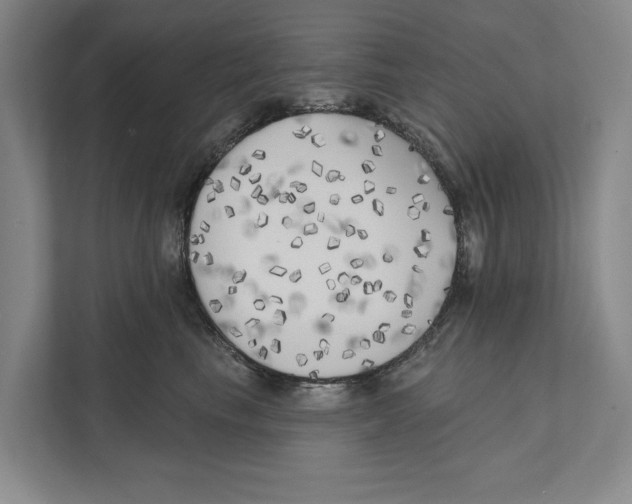X0000111170665200907291124