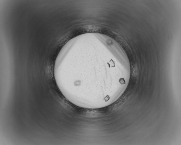 X0000111170666200907291124