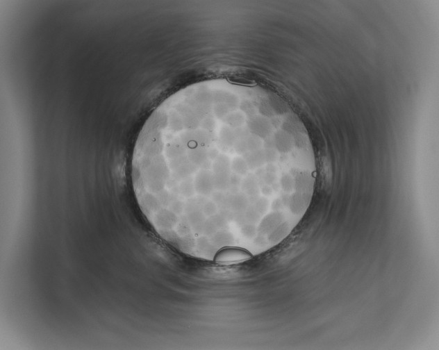 X0000111170668200907291124