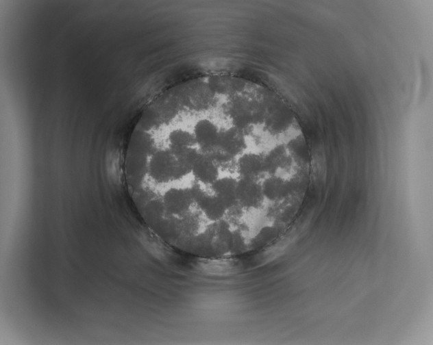 X0000111170671200907291124