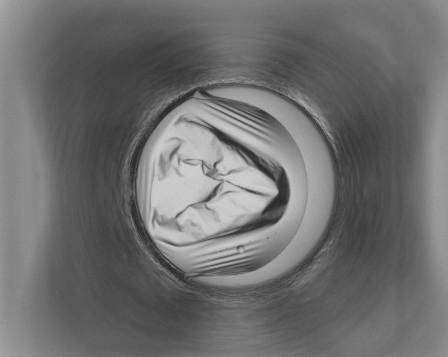 X0000111170673200907291124