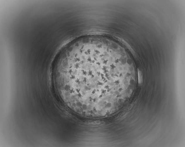 X0000111170675200907291124