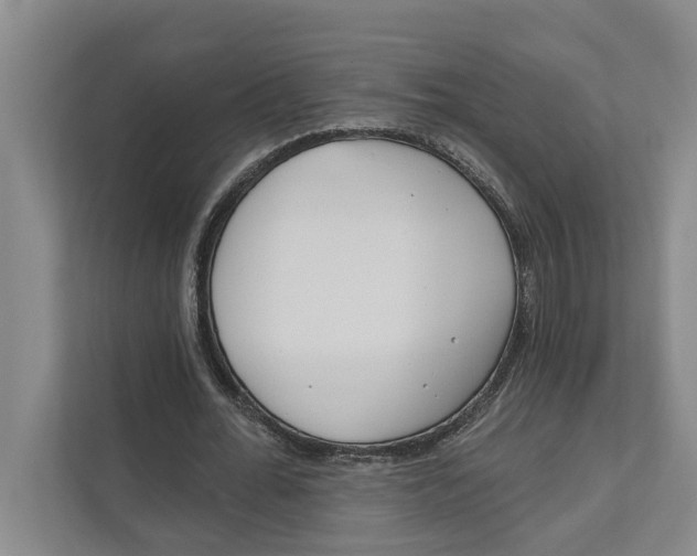 X0000111170676200907291124