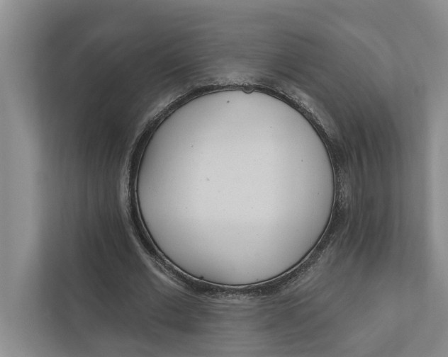 X0000111170677200907291124