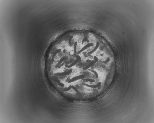 X0000111170679200907291124