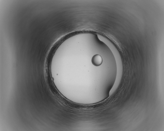 X0000111170680200907291124