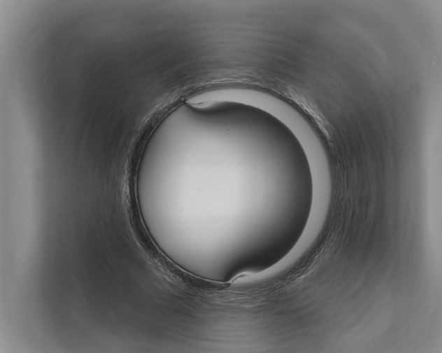 X0000111170681200907291124