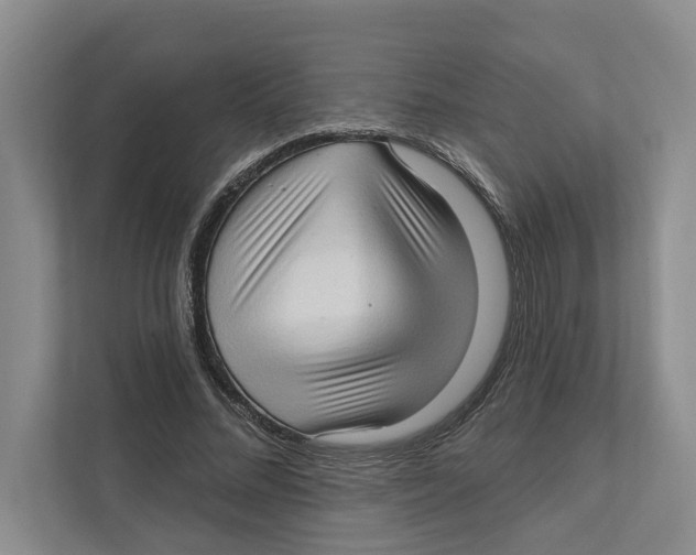 X0000111170684200907291123