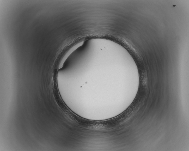 X0000111170685200907291123